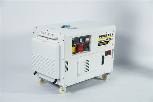 強(qiáng)勁動(dòng)力之源 12kW雙缸柴油發(fā)電機(jī)組的性能分析